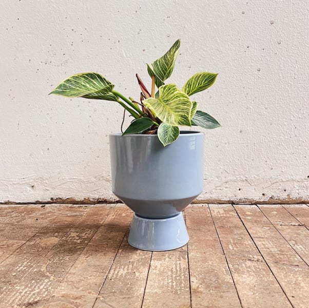 Matera Noyau II - Imagen 5